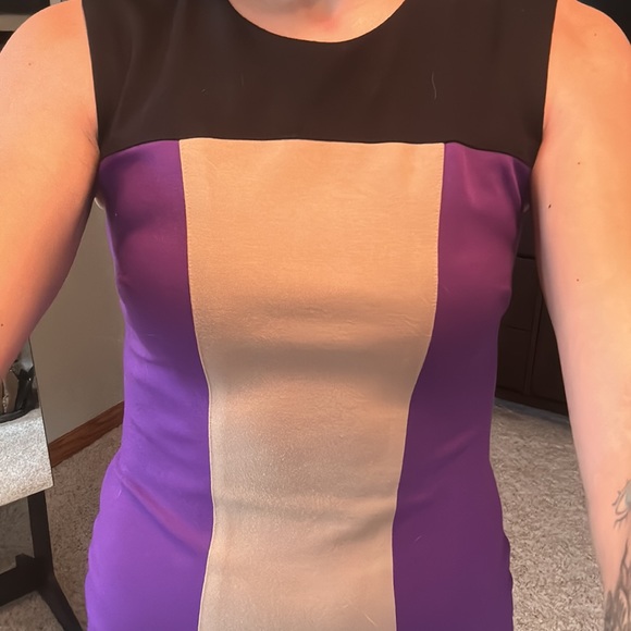 Cache Contour Color block Dress - Picture 3 of 10